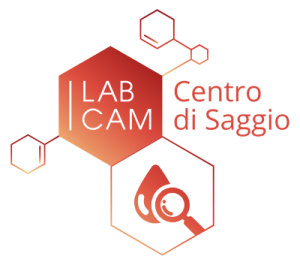 LABCAM_CentroSaggio_colore_CMYK-ai-300x265